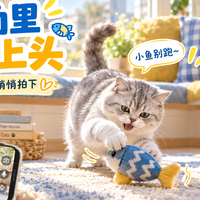 看猫和懂猫差在哪?从猫科行为学聊会跑的监控为什么不一样