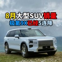 8月大型SUV销量极氪9X已经5连降