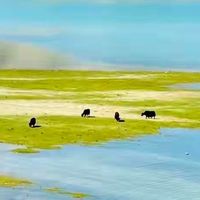 增生疤痕踩坑无数后！这4款祛疤膏温和不厚重我真的会回购到空瓶