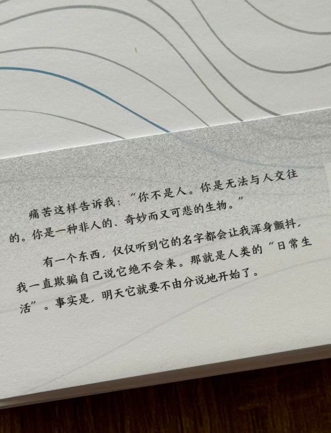 文学诗歌