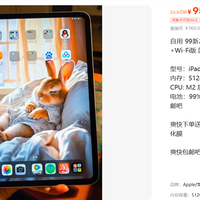 950元2025款iPad Pro 12.9寸 512g插卡版套：馅饼还是鱼饵
