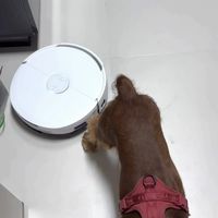 云鲸JX Ultra解决边角清洁痛点，上班族的好搭子