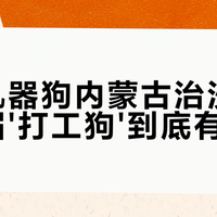 浙江机器狗上岗腾格里沙漠：35公斤负重、60℃地表，三天活一天干完