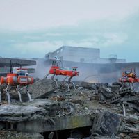 浙江造机器狗进腾格里沙漠巡林，负重35公斤翻80厘米障碍，三天活一天干完