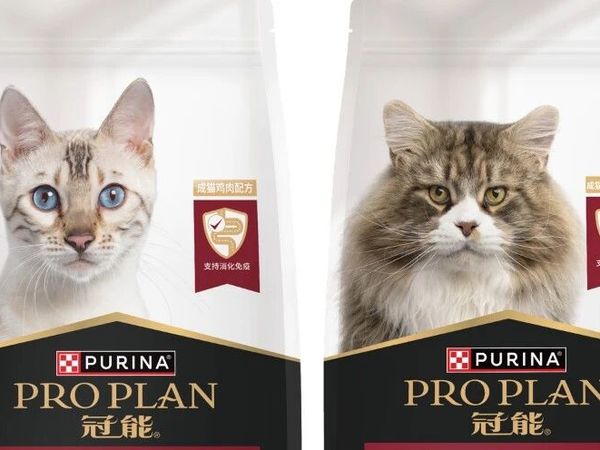 别被网红猫粮套路!靠谱大牌成猫粮实测分享