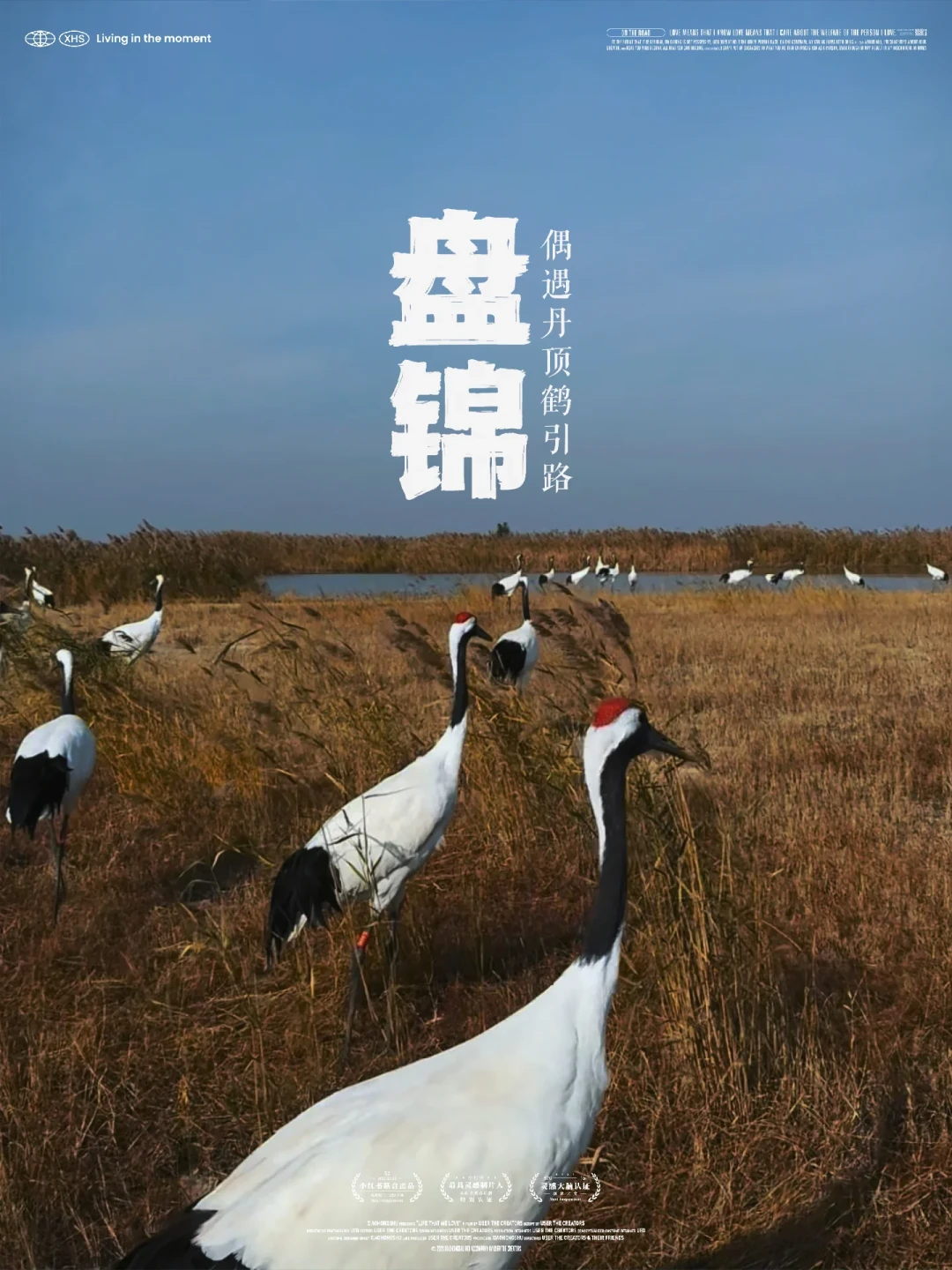 门票从44涨到88,红地毯却被涨潮淹了:中秋国庆追