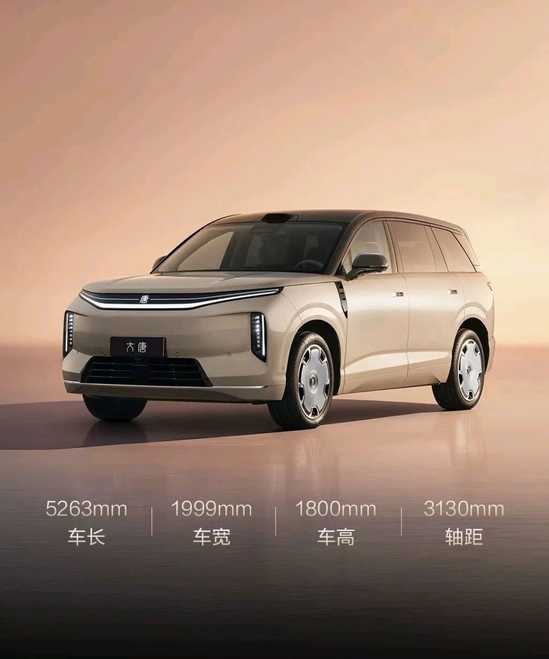 海狮08大定24小时破1.2万台，评论区却全是