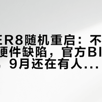 零刻SER8随机重启：不是电源、不是硬件缺陷，官方BIOS贴了仨月，9月还在有人往里跳