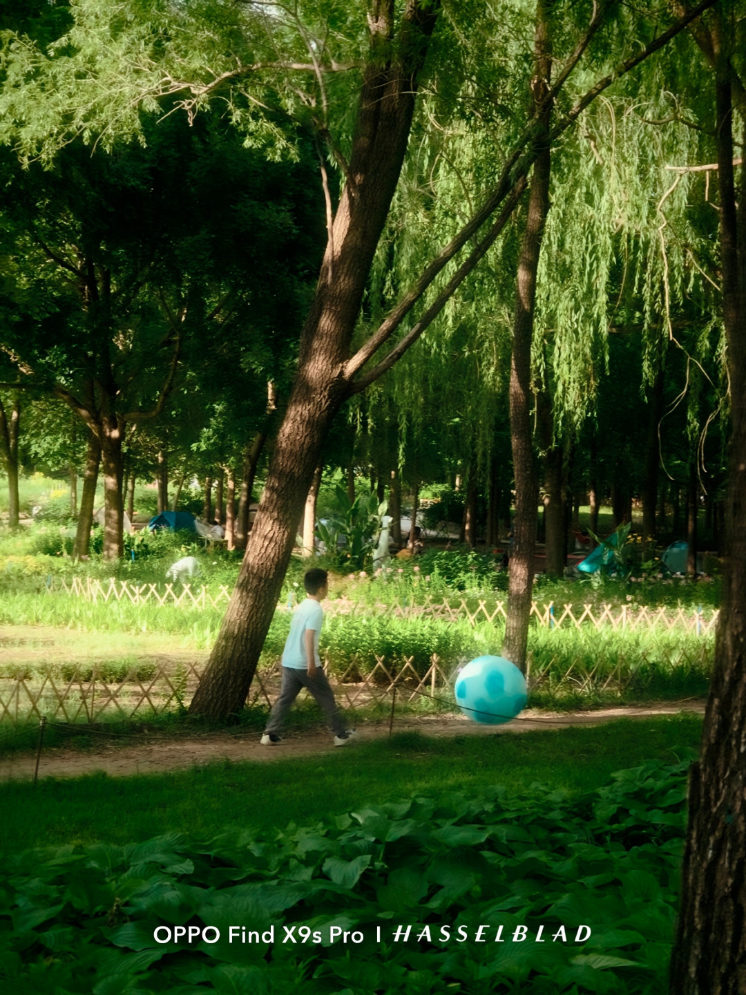苹果今年不出标准版，OPPO把「双2亿」塞进了Find X10标准版：对着3898元的X9s Pro逐项对账，5处升级是真的、3个数字还没公布——发布会前，谁现在动手谁再等