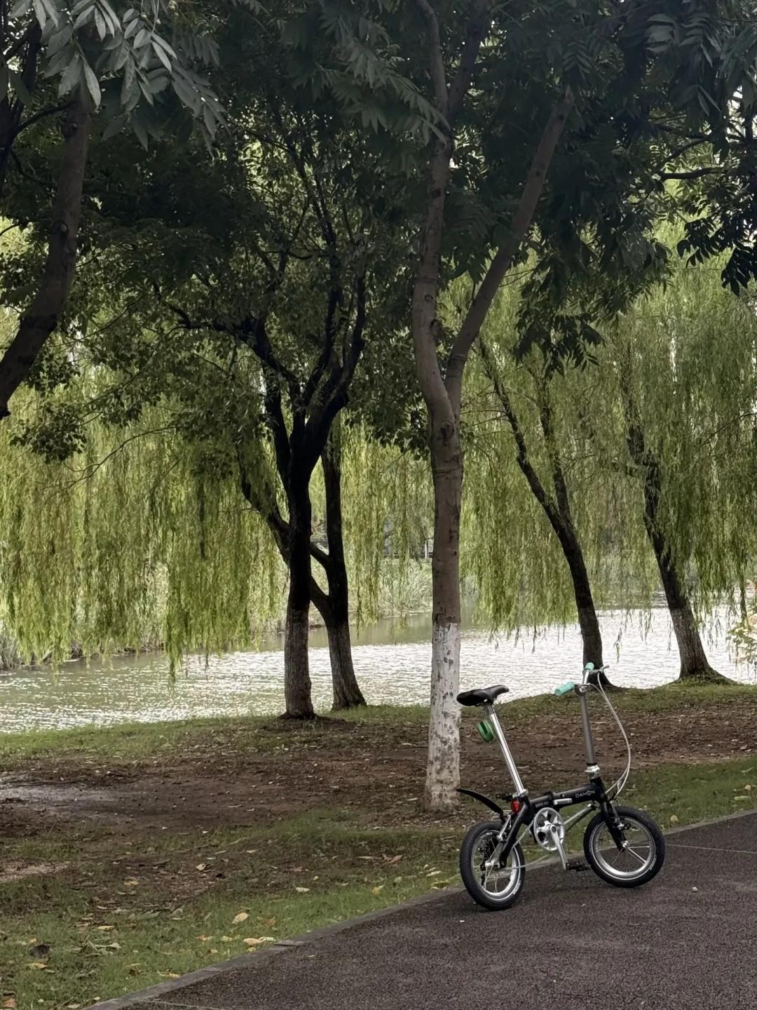 大行412，