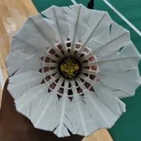 囤球的“过期”征兆和你想的相反：飞行还没坏，不耐打先死——亚狮龙整箱囤货前，两本账要对一遍