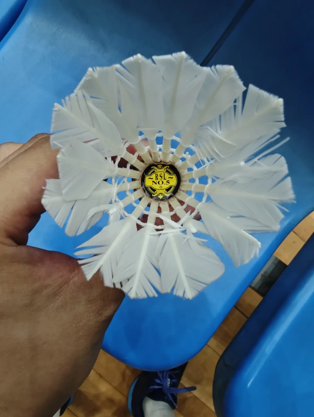 囤球的“过期”征兆和你想的相反:飞行还没坏,不耐打先死——亚狮龙整箱囤货前,两本账要对一遍