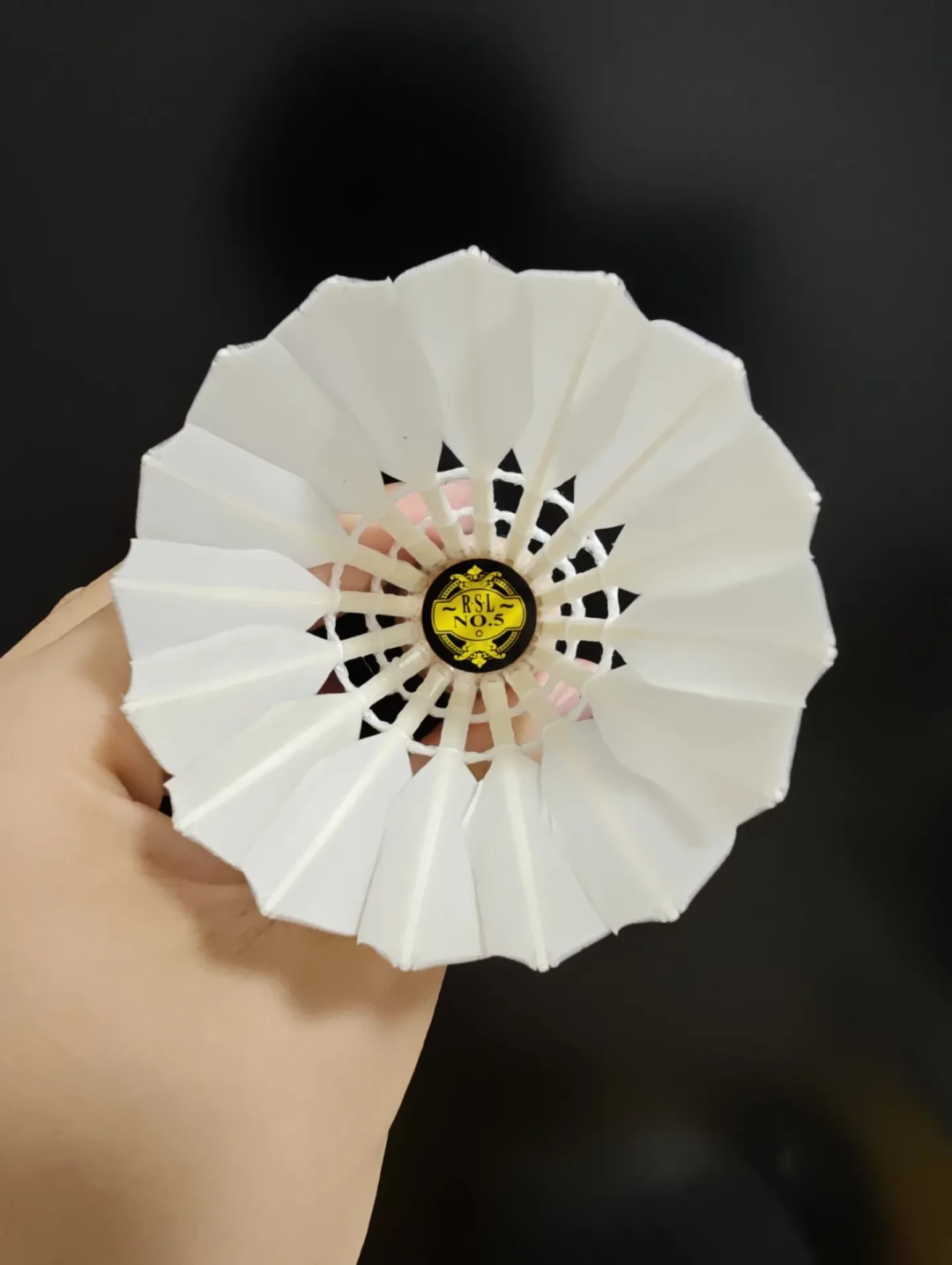 囤球的“过期”征兆和你想的相反:飞行还没坏,不耐打先死——亚狮龙整箱囤货前,两本账要对一遍