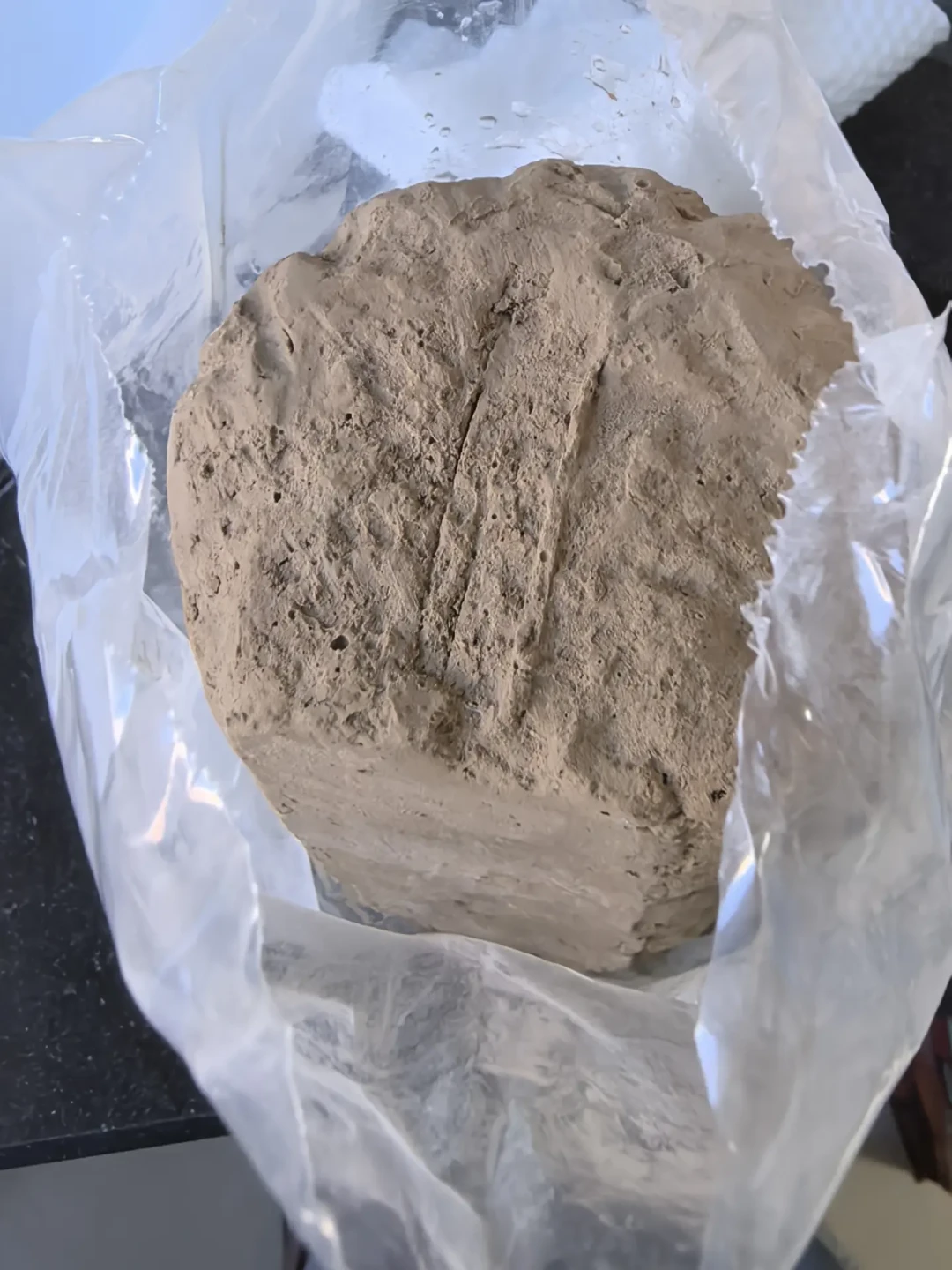 把妇好从土里