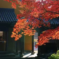 灵隐、法喜、法净全停手:今年杭州唯一还在做的寺庙素月饼,只剩径山一家