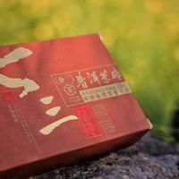 20块的砖、两位数的清仓、3000的红标：清仓潮一起拍在中茶身上，哪些低价该捡、哪些要躲