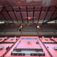 澳门一日三败：王励勤先别接"封训失败"这口锅，但2026削球账得在亚运前翻完