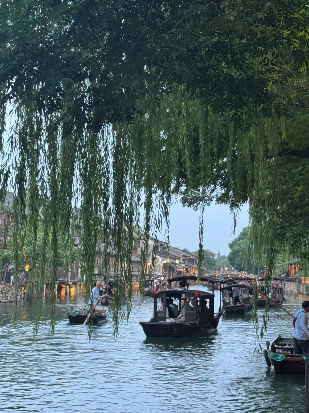 教师节免票海报刷屏,但9月10日是周四:翻完今年几十条公告,能真正用上的只有两档