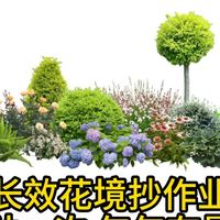 阳台花房、长效花境 | 绿植造景9.11日报