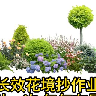 阳台花房、长效花境 | 绿植造景9.11日报
