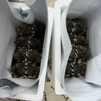 蟹季第一批泡沫箱已经进家门了：「有毒吗」「留不留」「卖不卖」，三笔账我盘完了