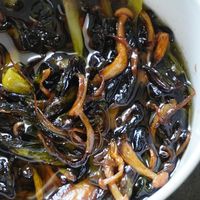 料油成了全网爆火的“饭店炒菜秘方”：对完3份配方帖和一组实验室开瓶数据，被所有配方省掉的就这一句