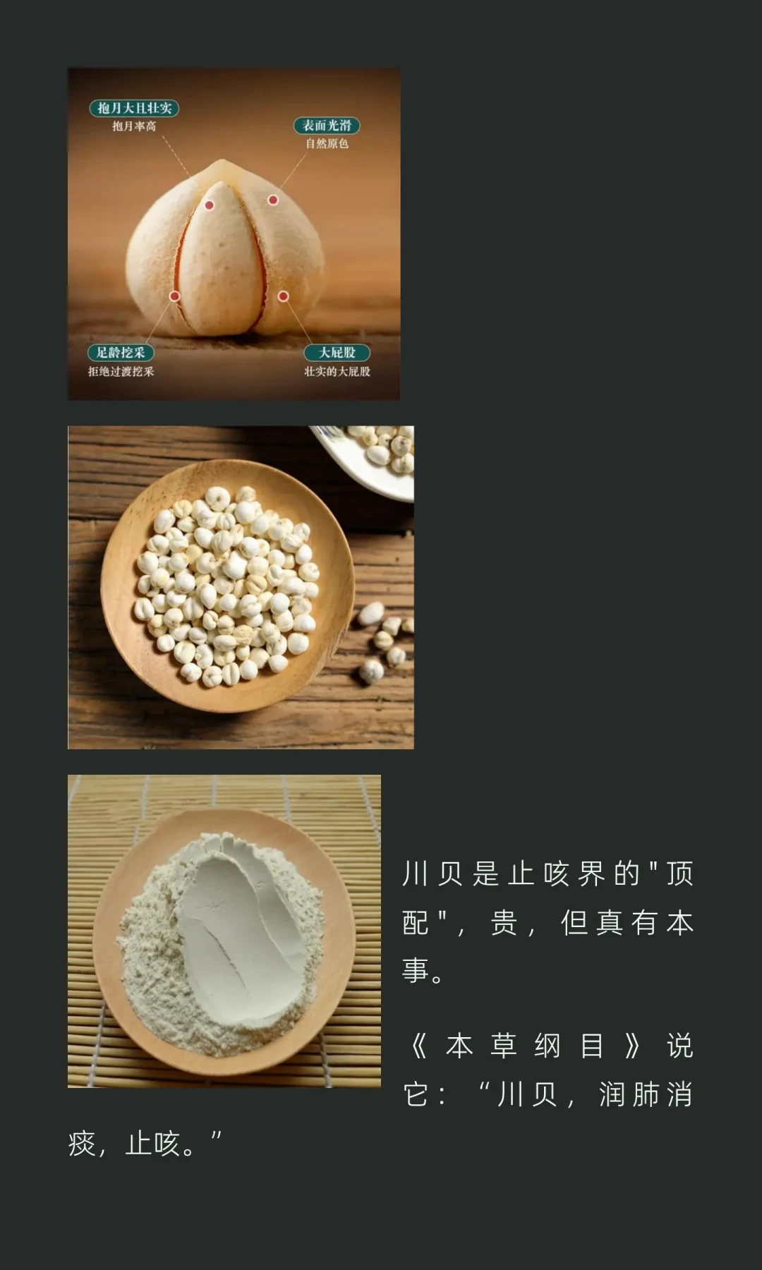 白露后第一波