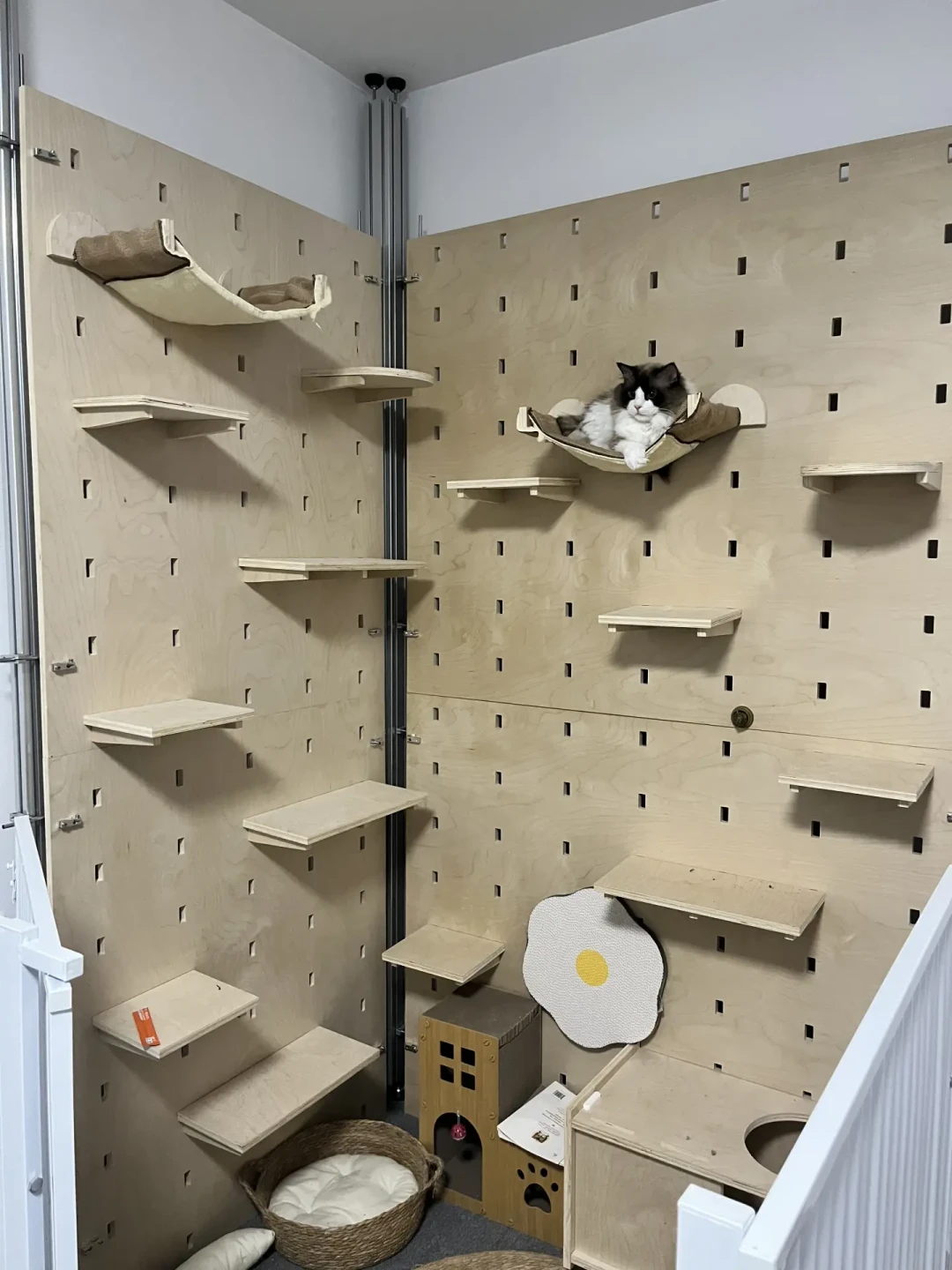 免打孔猫墙的帖子我分成了两列:一列“广告模板”,一列“翻车报告”,先看你家墙面配不配