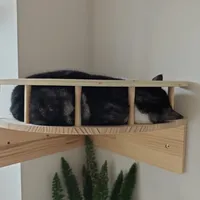免打孔猫墙的帖子我分成了两列：一列“广告模板”，一列“翻车报告”，先看你家墙面配不配