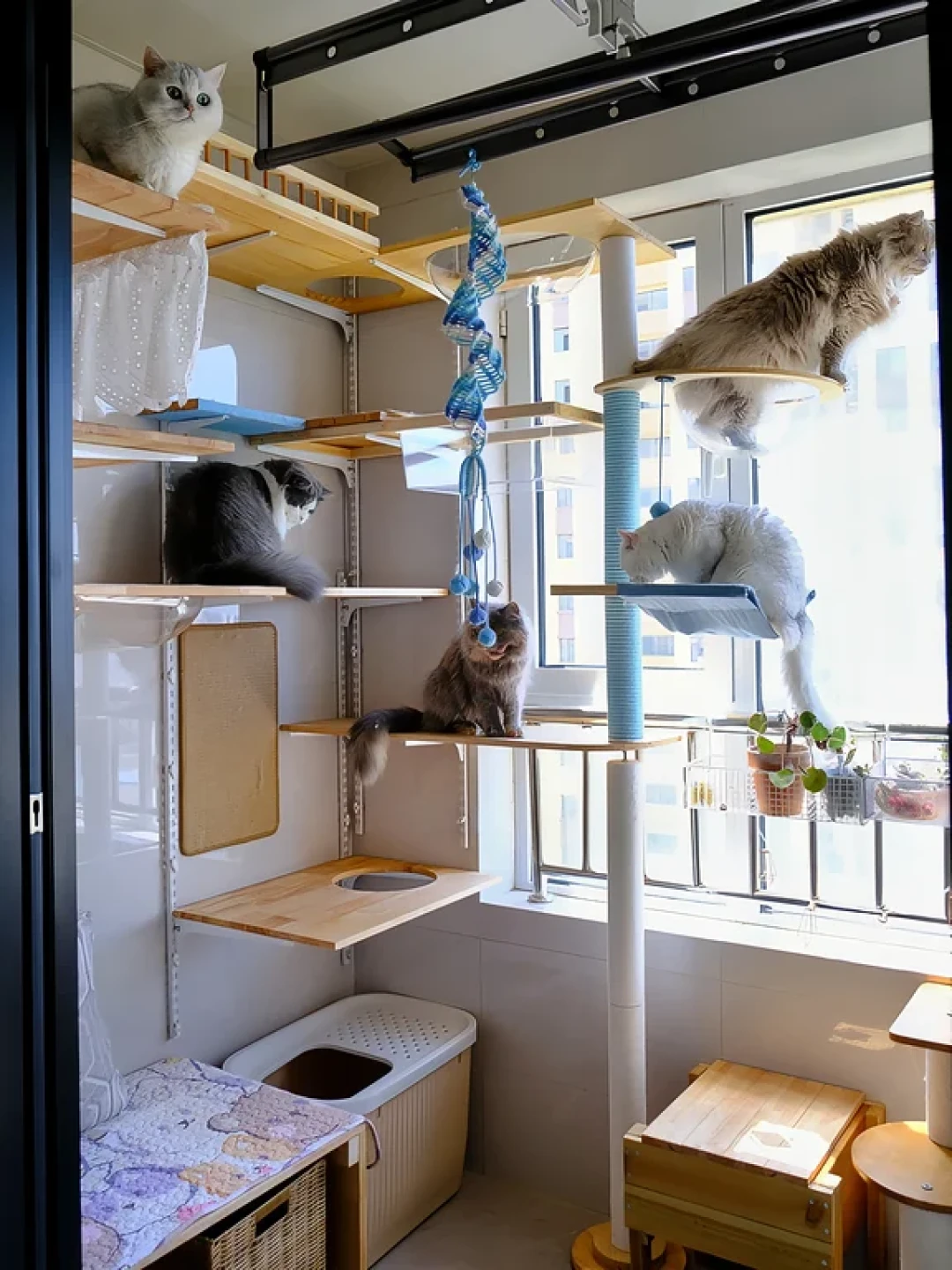 免打孔猫墙的帖子我分成了两列:一列“广告模板”,一列“翻车报告”,先看你家墙面配不配