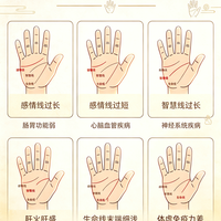 标题：看掌纹状态了解身体