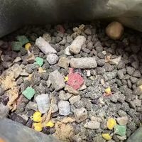 养狗挖到高性价比冻干狗粮✨狼力克全价全期犬粮
