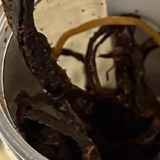手撕猪肉干巴 追剧解馋的最佳拍档