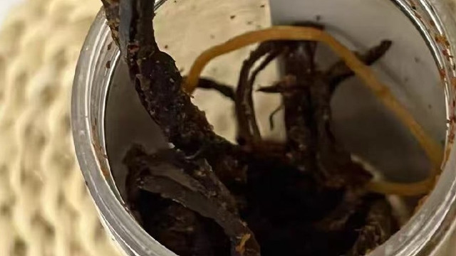 手撕猪肉干巴 追剧解馋的最佳拍档