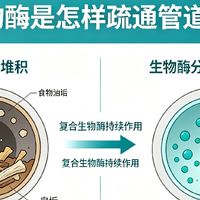 管道总堵反味，生物酶养护才是家用长期方案：四款管道疏通剂对照