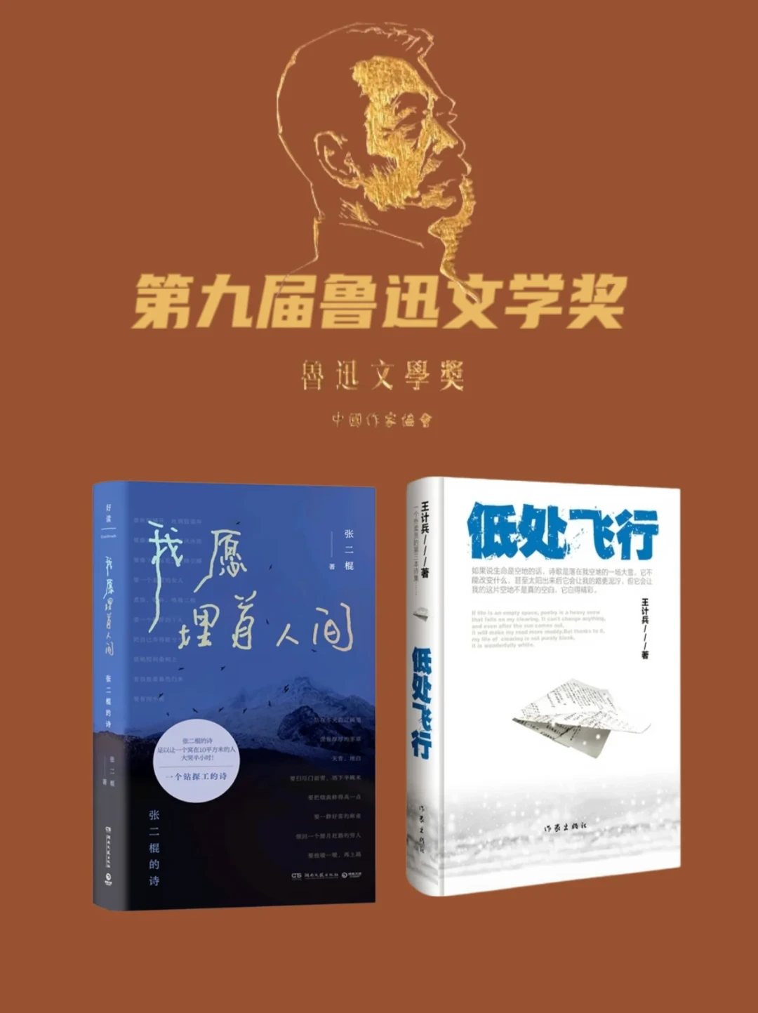 鲁奖诗歌奖五本只有一本在刷屏：另外4本