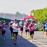乔爷告别年把「同款」做成了产业：这五件基普乔格同款，只有两件真的装着他的训练体系