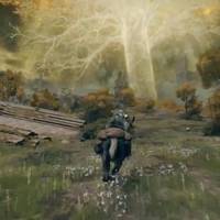 NS2版《艾尔登法环》实测锁30帧 新增重装骑士与伊德斯骑士双职业