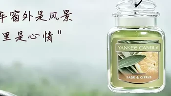 车载香薰天花板，YankeeCandle 扬基挂式香片太治愈！