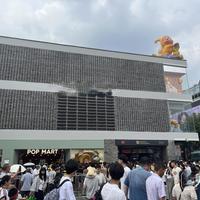 凌晨5点就排队，这家店凭什么让年轻人拖着行李箱来“进货”？