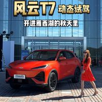 风云T7动态试驾 开进雁西湖的秋天里