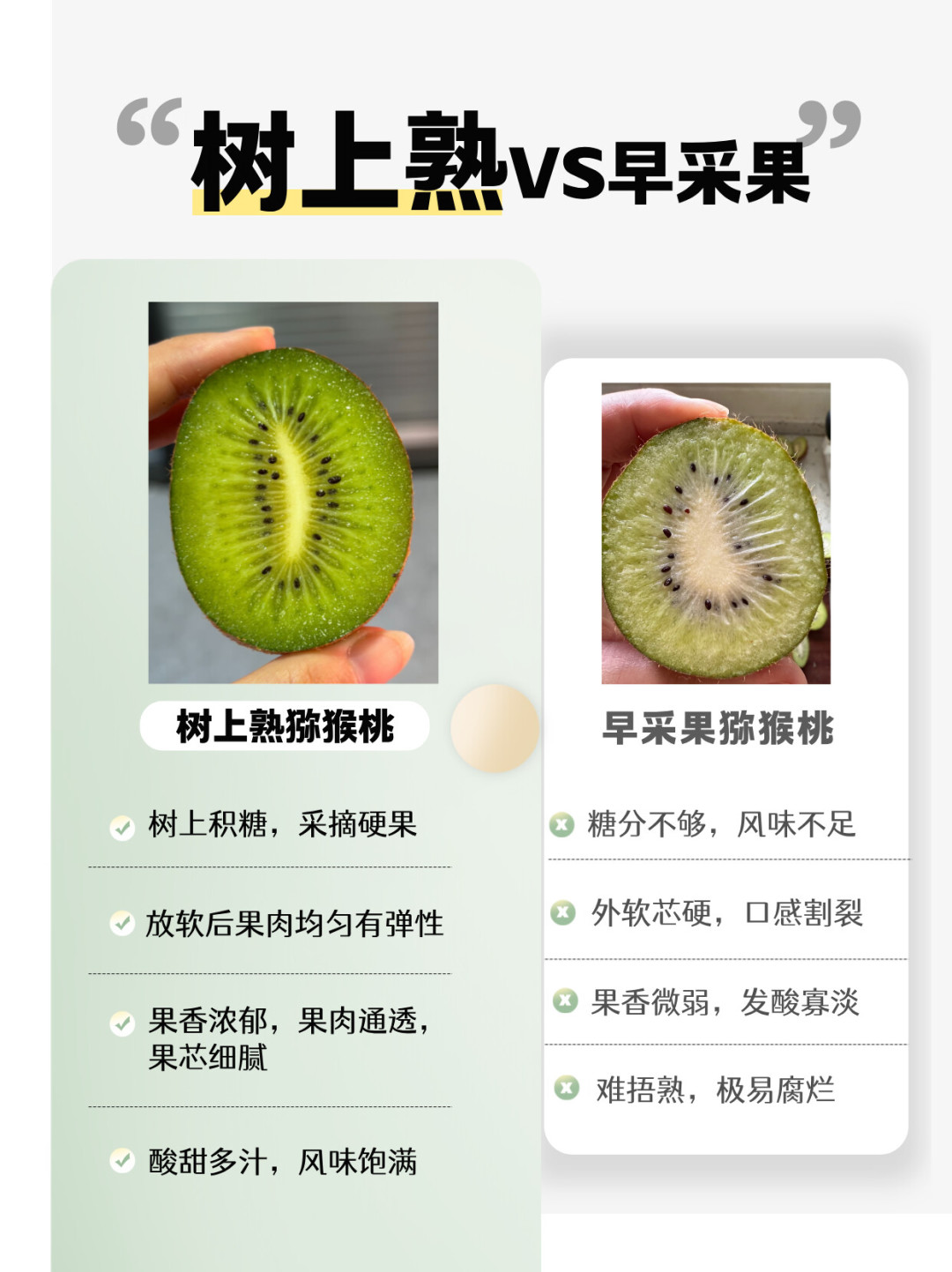 猕猴桃放了10天还是硬的:先分清「没熟」和「熟不了」,一个能救,一个赶紧退