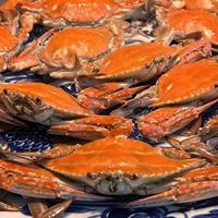 知名的梭子蟹饭馆性价比高