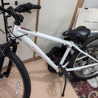 千元山地车横评里总不带迪卡侬:一周三个“决赛圈”提问,牌价、残值、装车账一次算清