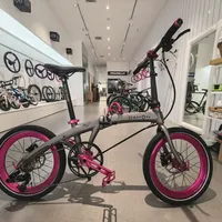体育消费券能拿来买折叠车整车了，能减270：翻完5城到店核销实录，整车实际折扣只有8个点，三笔账、四种人、四条红线理清了