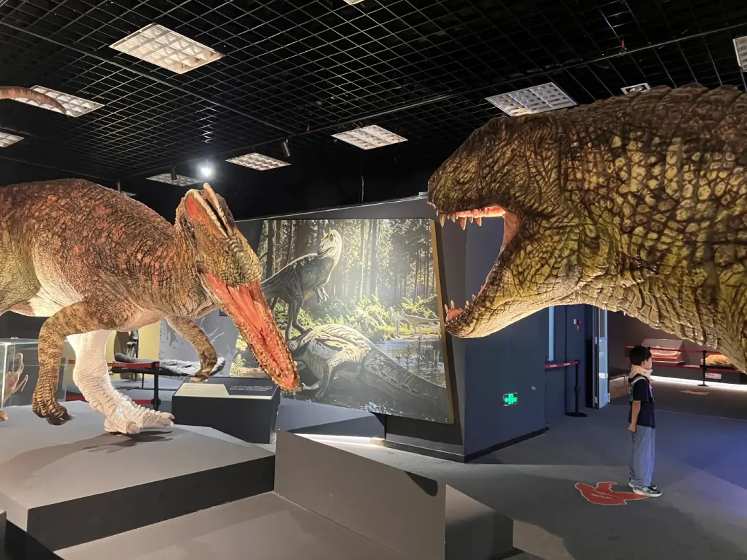 霸王龙真化石首展还剩29天,98元票被骂