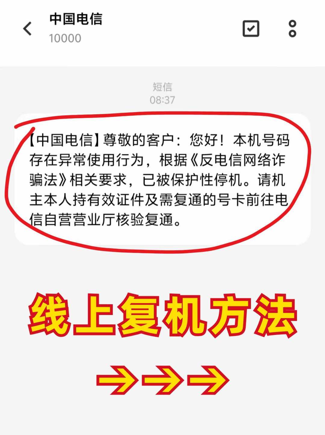 教师节发53条祝福被停机上热搜,电信用户别光顾着围观:对完20多篇“反诈停机”真实案例,复机三条路线、投诉模板和最深40天的坑都排好了