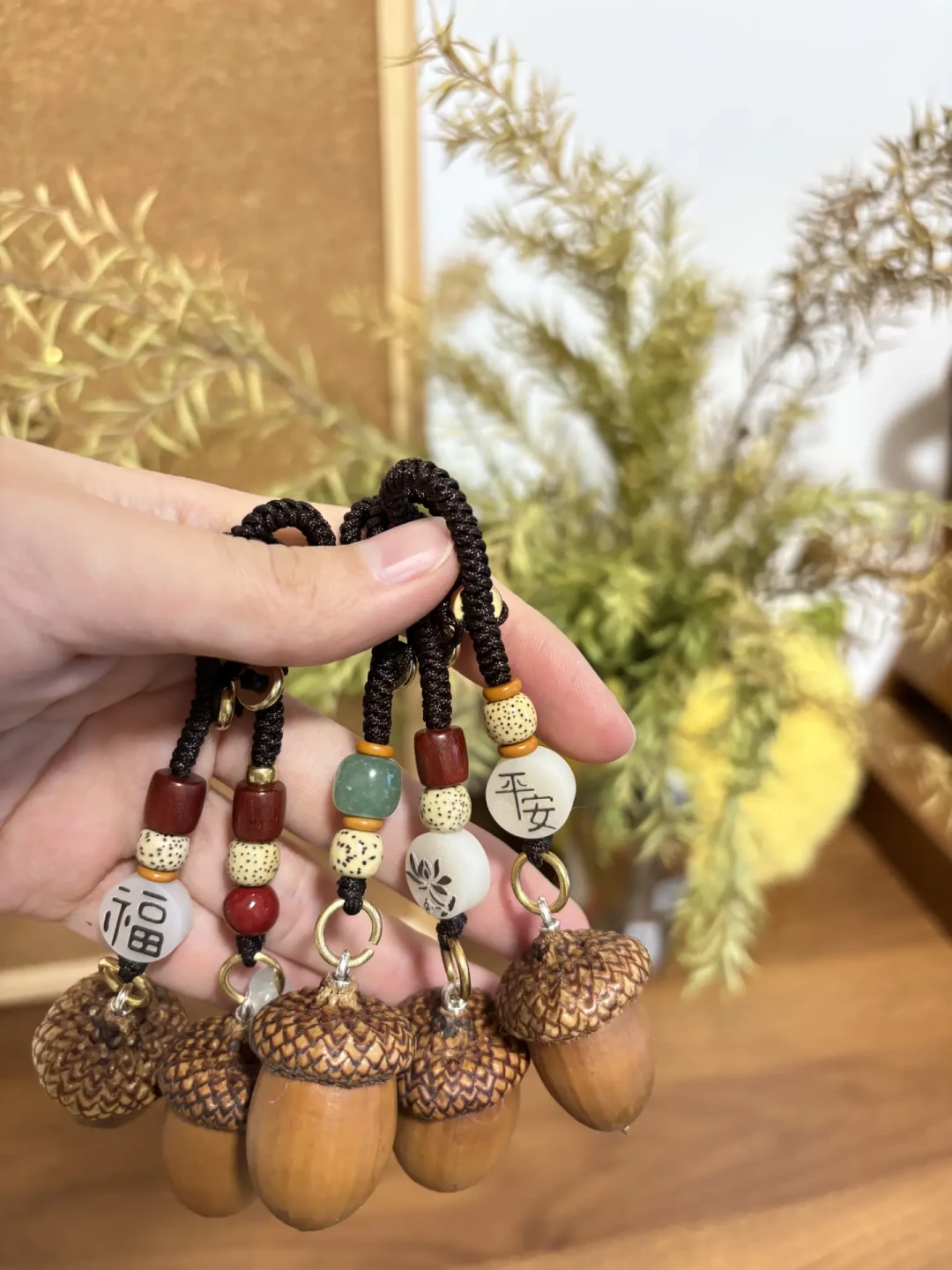 橡果季快刷屏了:你捡的“完美果”里大概率有个洞,“带帽”的多半是粘的——攒第一个收藏盒前,先过四道检查、三档价格账、两条红线