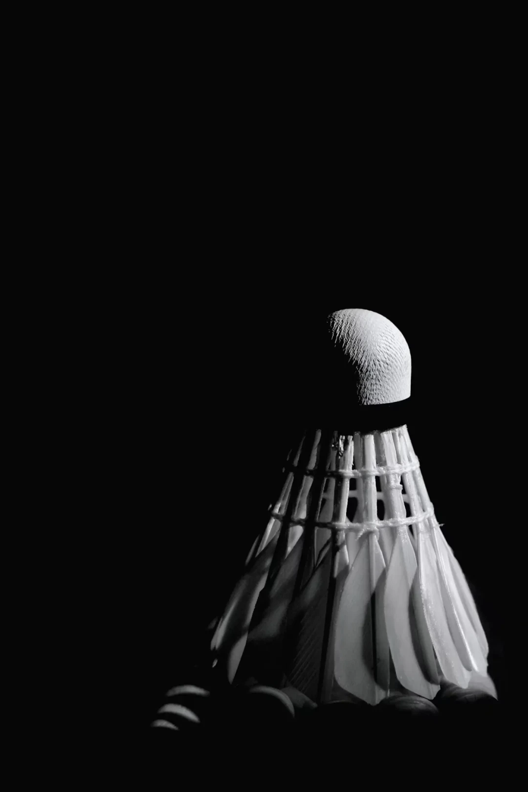拼团帖里的“亚5 107”刷了屏:翻完两份调价通知、这半个月的6条自报价和评论区互怼,秋天囤球前先对上三个数
