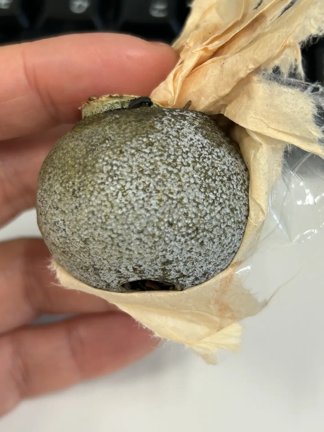 距中秋13天，小青柑开始上架，茶圈的